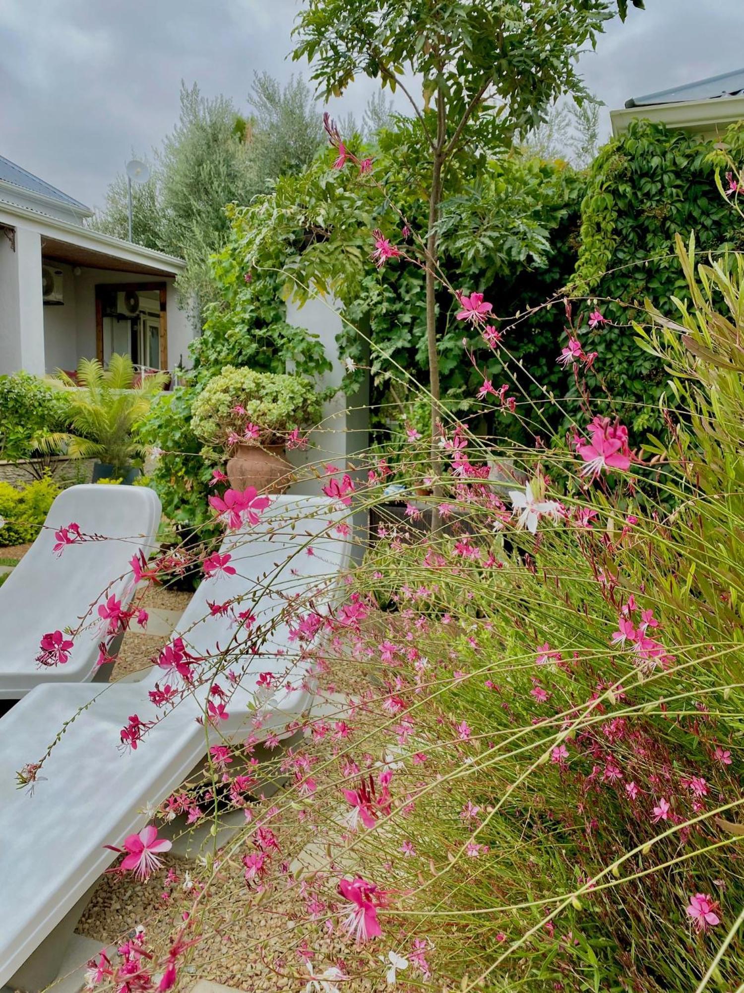 1 Royal Street Guesthouse 里比克堡 外观 照片