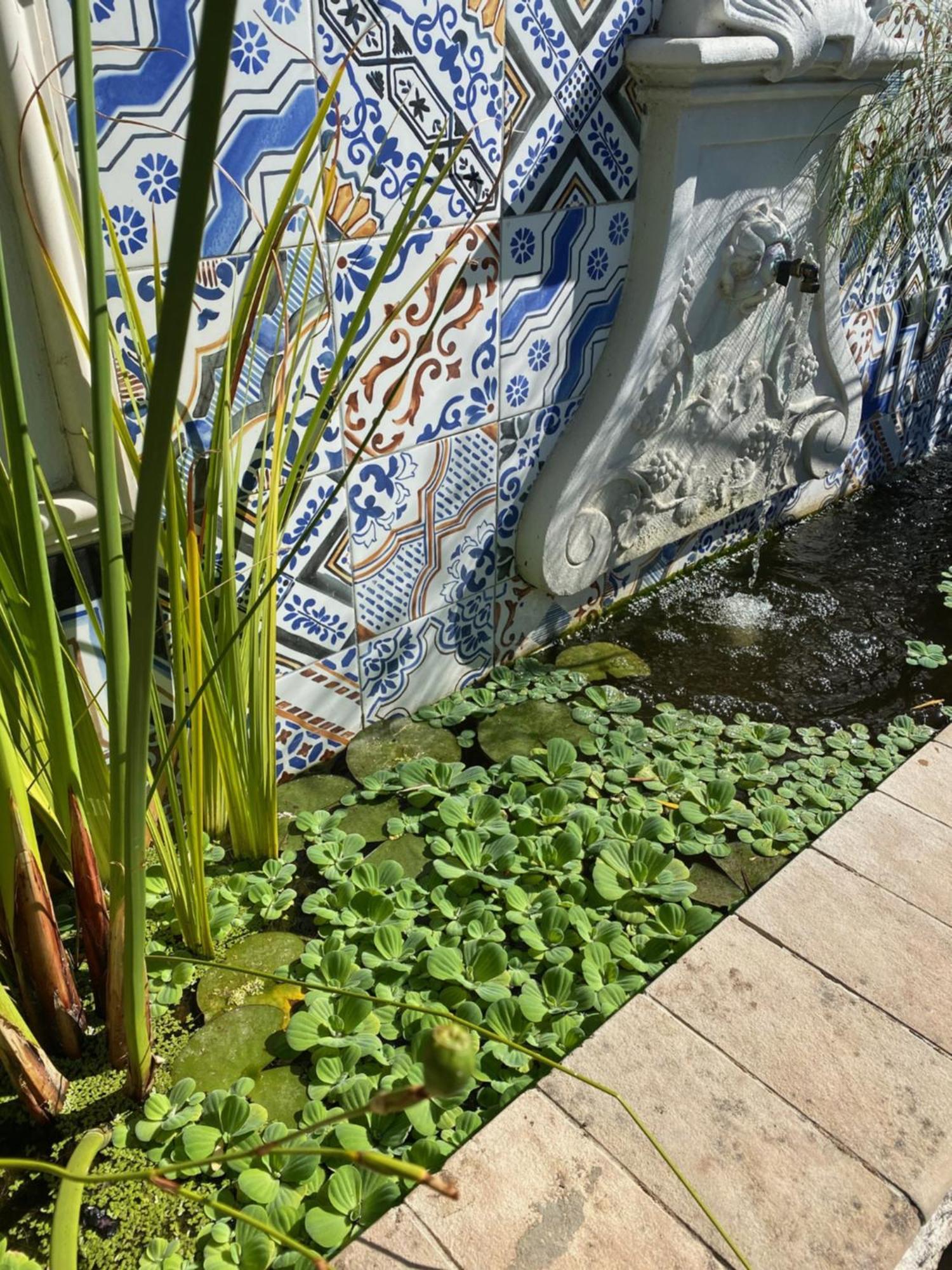 1 Royal Street Guesthouse 里比克堡 外观 照片