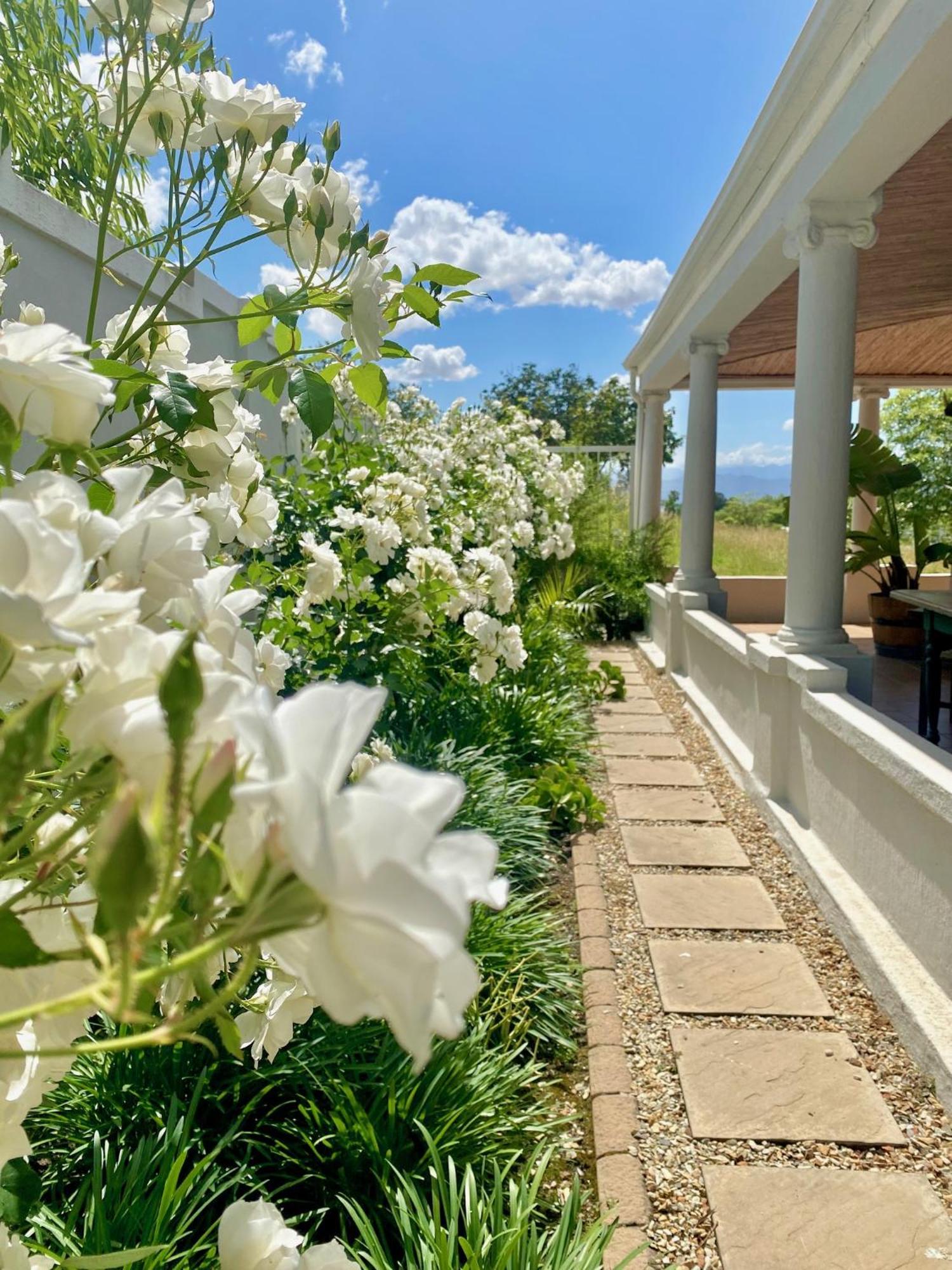 1 Royal Street Guesthouse 里比克堡 外观 照片